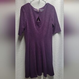 Danny & Nicole Deep Purple Dress